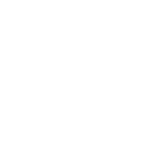 Ícono de Fisioterapia